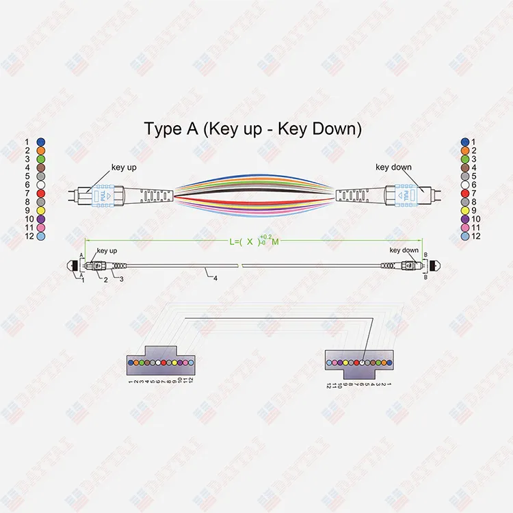 144 Core Multimode Low Loss Cable MPO to MPO Trunk Patch Cord
