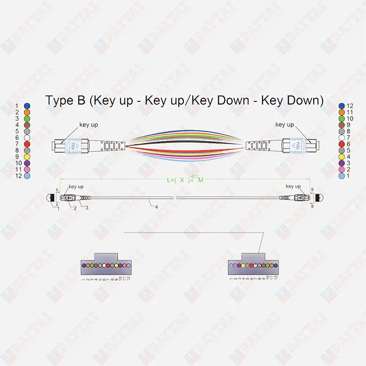 144 Core Multimode Low Loss Cable MPO to MPO Trunk Patch Cord
