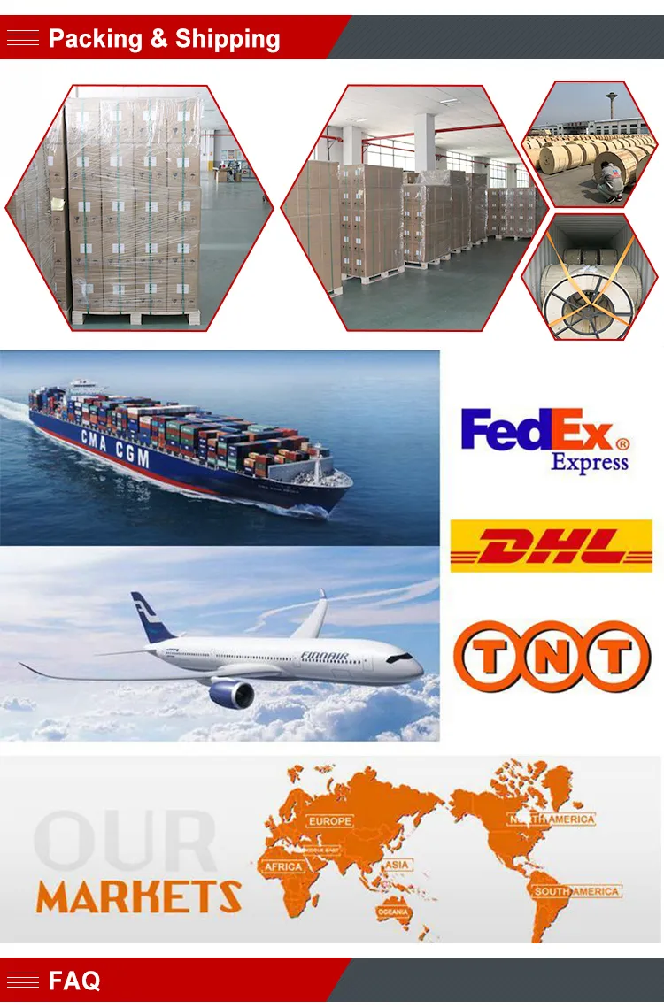 144 Core Multimode Low Loss Cable MPO to MPO Trunk Patch Cord