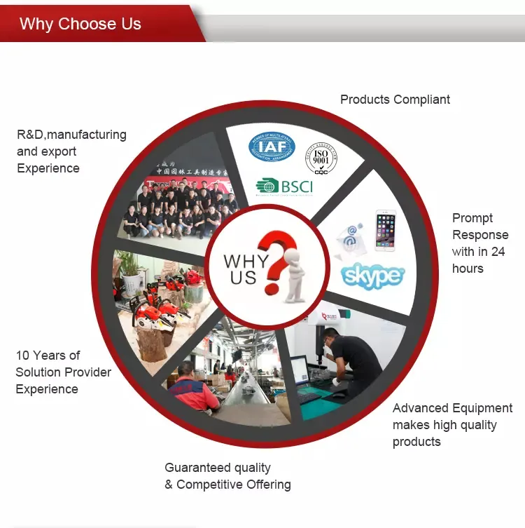 2-Stroke perfect control 25cc chain saw