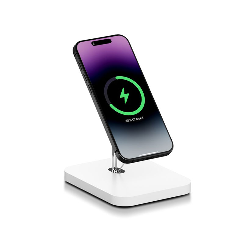 What is Merchandise Display Security?