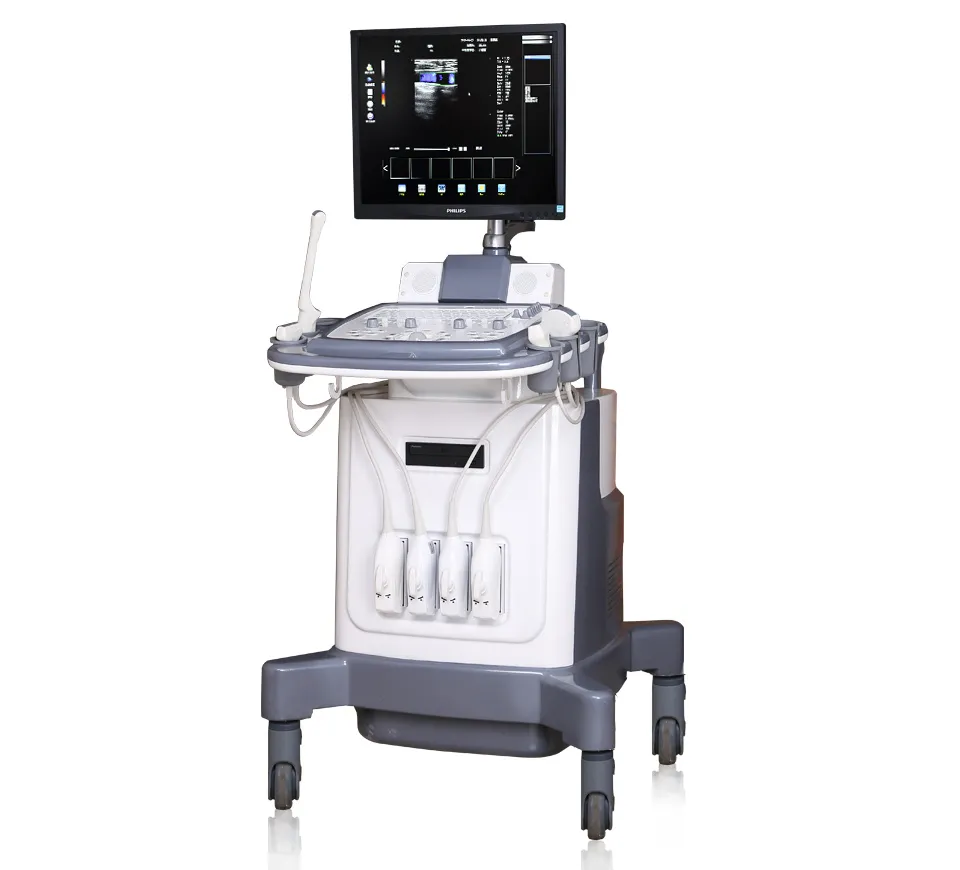 2D/3D/4D Portable Color Doppler Ultrasound Scanner