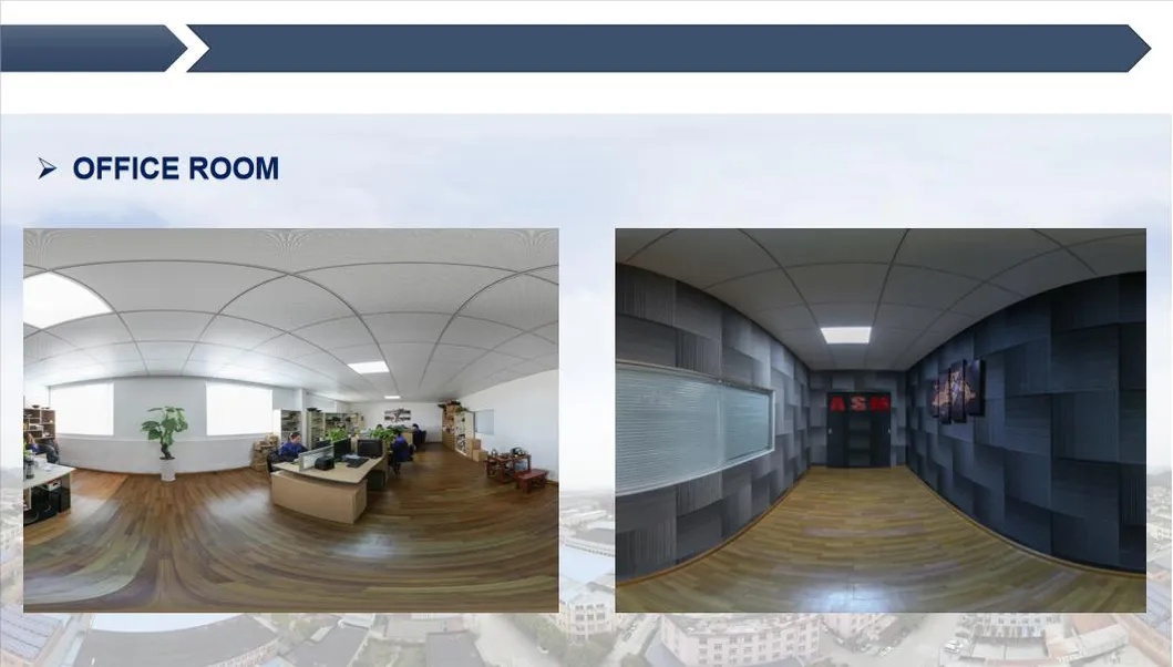 300 W 6inch*9 Inch PRO Audio Midrange Car Speaker