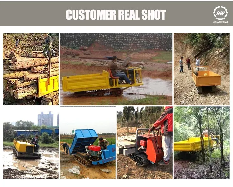 3000kg China Mini Loader Dumper Price for Colombia