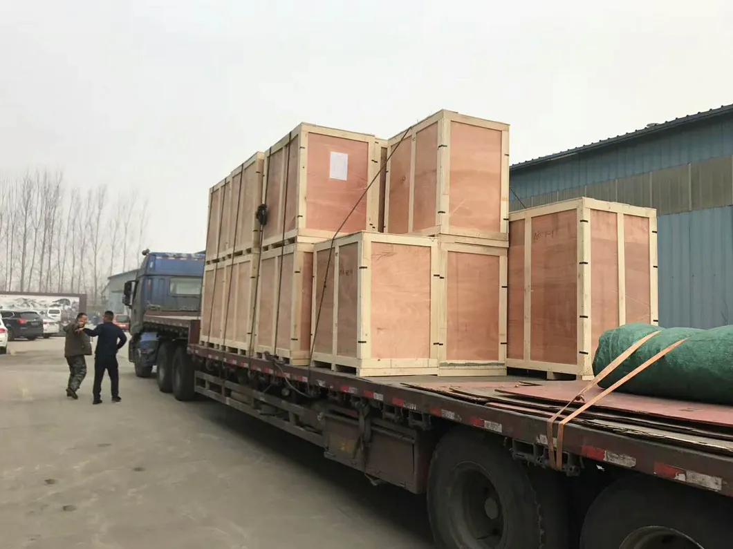 3000kg China Mini Loader Dumper Price for Colombia