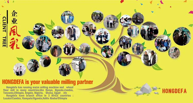 30t Maize Milling Machine Flour Mill Grits
