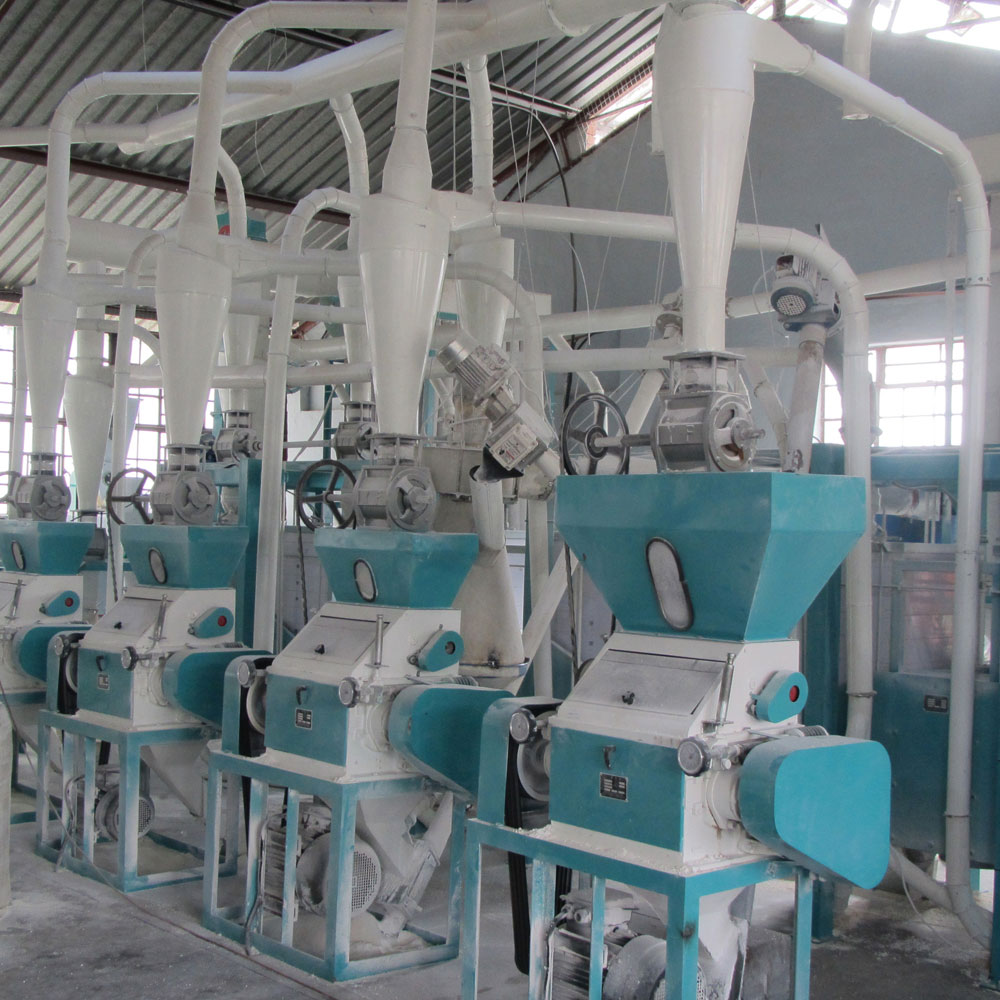 30t Maize Milling Machine Flour Mill Grits