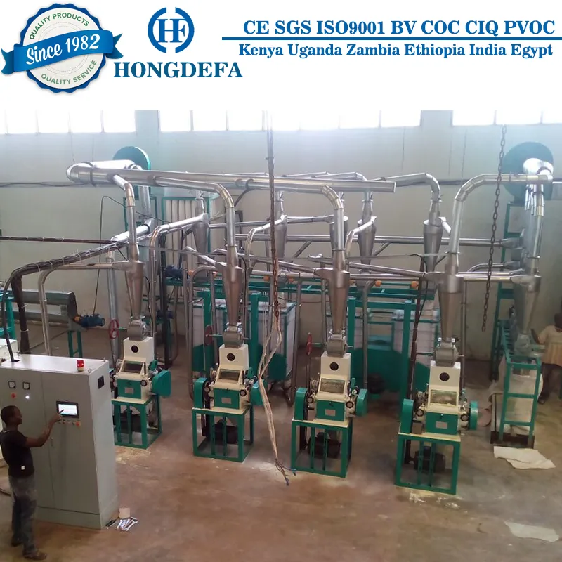 30t Per 24h Maize Flour Milling Production Line Machine in Zambia