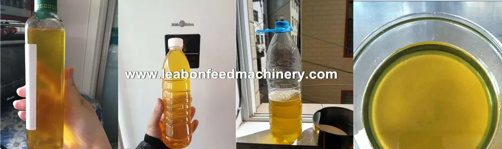 40-50 Kg/H Grape Seed Flax Seed Mini Automatic Oil Press Machine