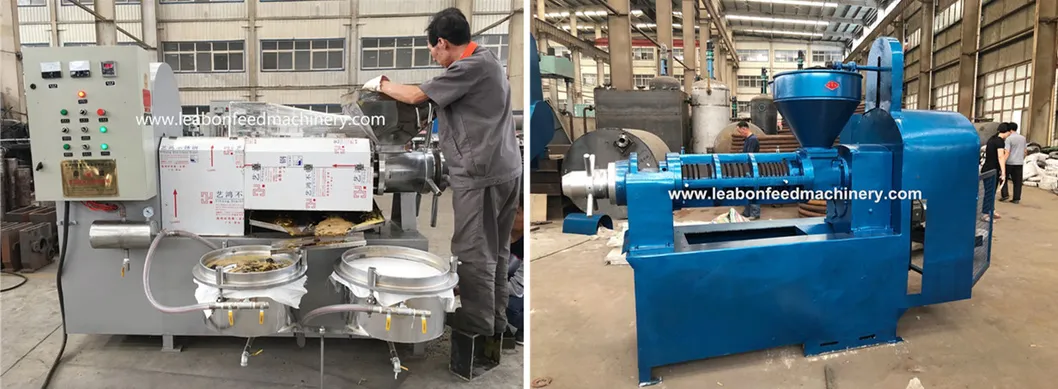 40-50 Kg/H Grape Seed Flax Seed Mini Automatic Oil Press Machine