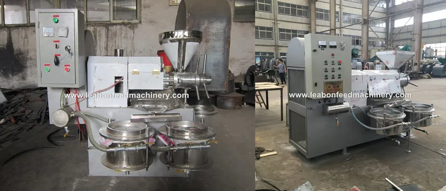 40-50 Kg/H Grape Seed Flax Seed Mini Automatic Oil Press Machine