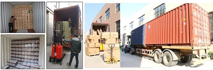 43cc Garden Tools Petrol Brush Cutter