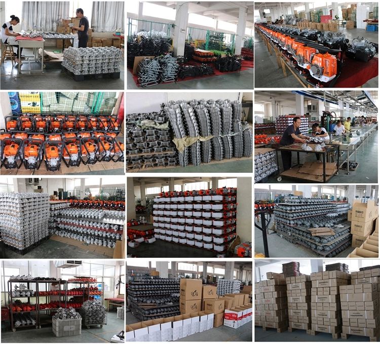 43cc Garden Tools Petrol Brush Cutter