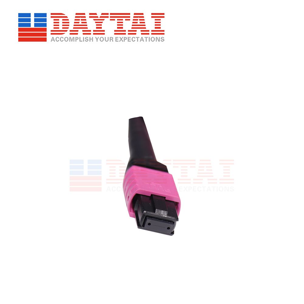 48 Core Fiber Optic MTP Patch Cord Female to Female Connector