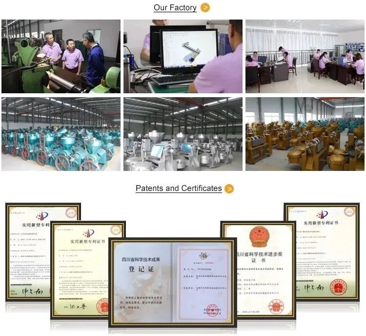 8tpd Vegetable Seeds Oil Press Machinery for Peanut Sesame Rapeseed