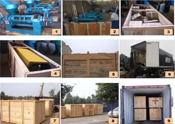 8tpd Vegetable Seeds Oil Press Machinery for Peanut Sesame Rapeseed