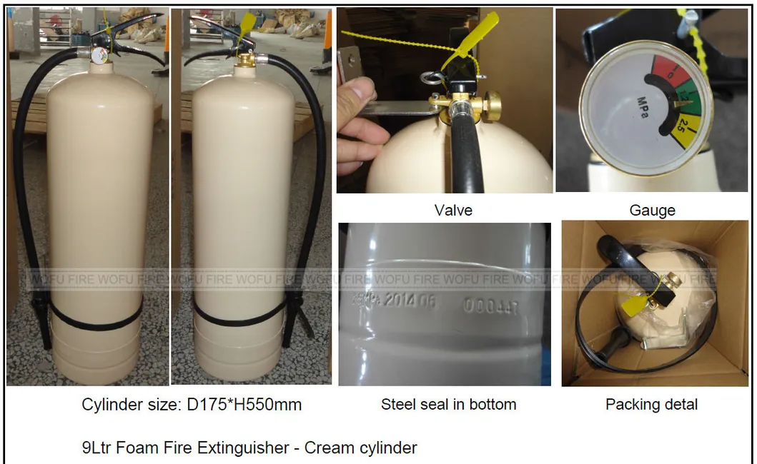 9LTR Afff 3% Chemical Foam Fire Extinguisher