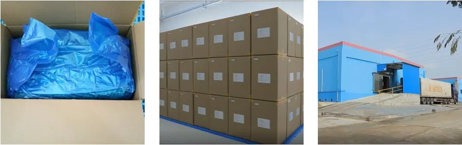 Brc ISO22000 Kosher Certified Asian Freeze Dried Food in Bulk Freeze Dry Carrot Cube