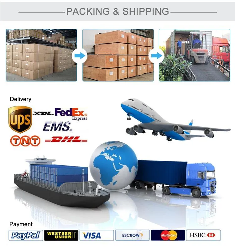 Bt-Ud91 Full Digital Color Doppler System Portable Ultrasound Machine