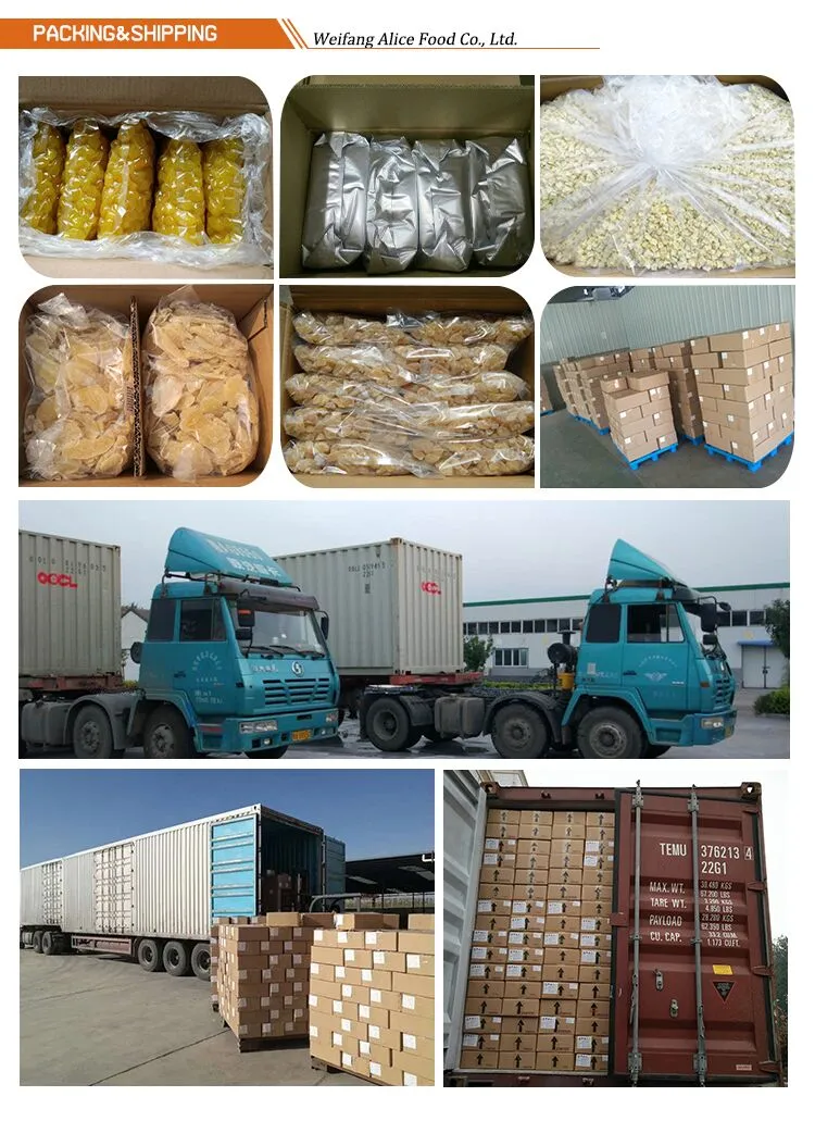Bulk Wholesale Preserved Kumquat Organic Halal Cert Dried Kumquat Crystallized