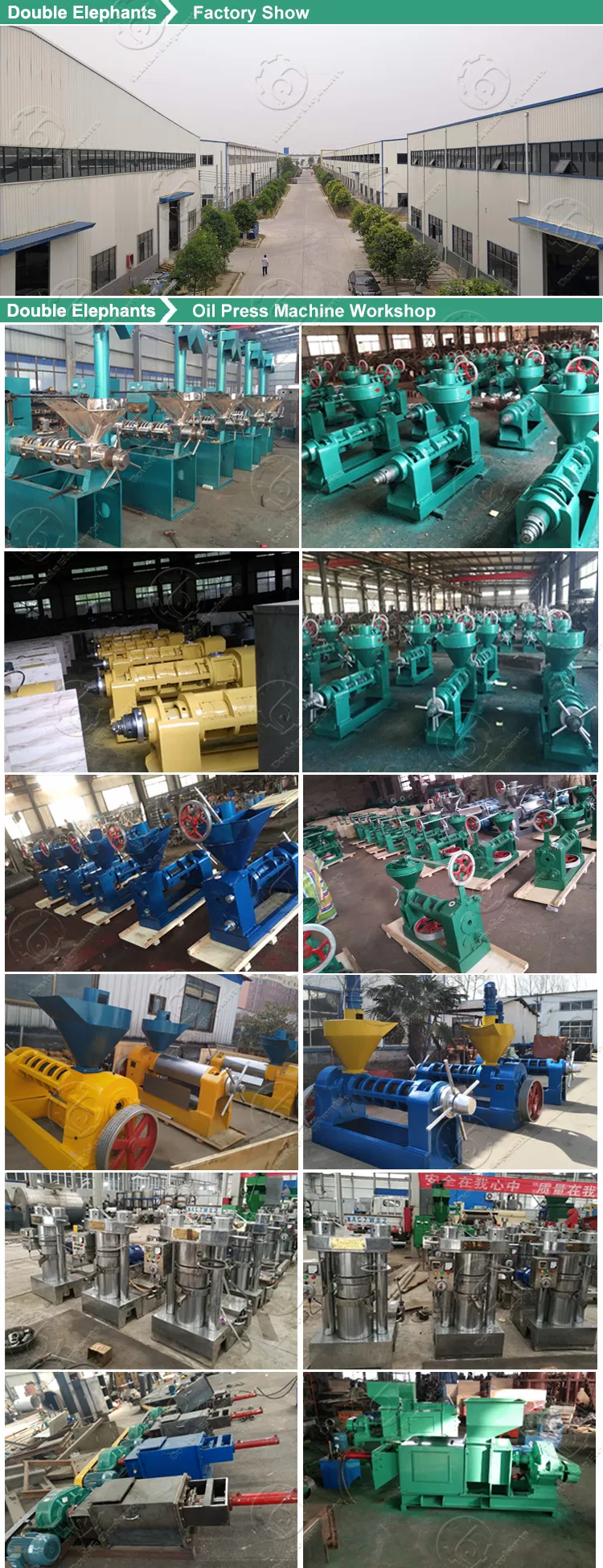 Cacao Coconut Oil Expeller Press Machine Line Price
