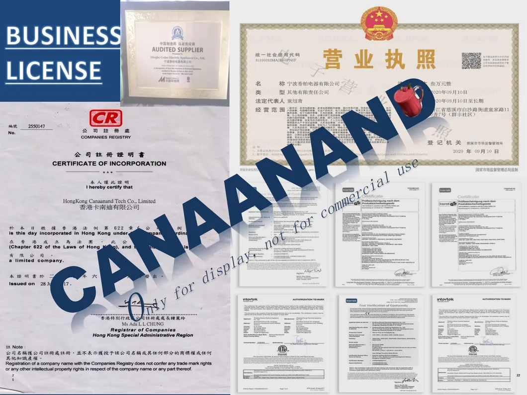 Canaanand - CE GS RoHS Approved 1000W Powerful Touchpad Table Nutri Blender