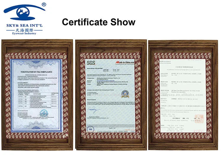 Cateye Style Fashion Woman Lady Sunglasses (PS1602)