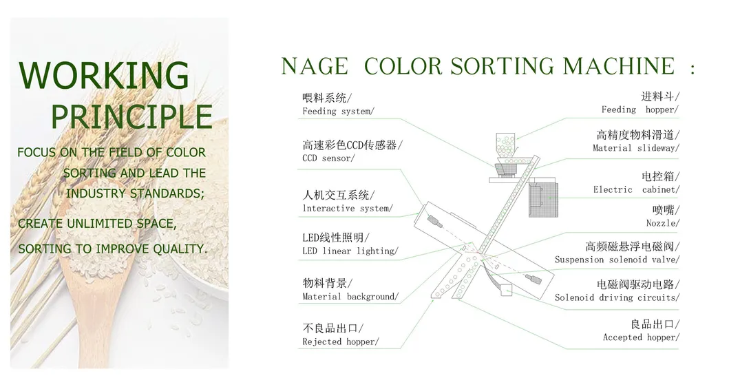 CCD White Rice Color Sorter Machine Rice Sorting Rice Selector