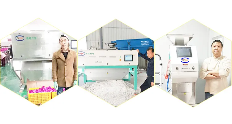 CCD White Rice Color Sorter Machine Rice Sorting Rice Selector