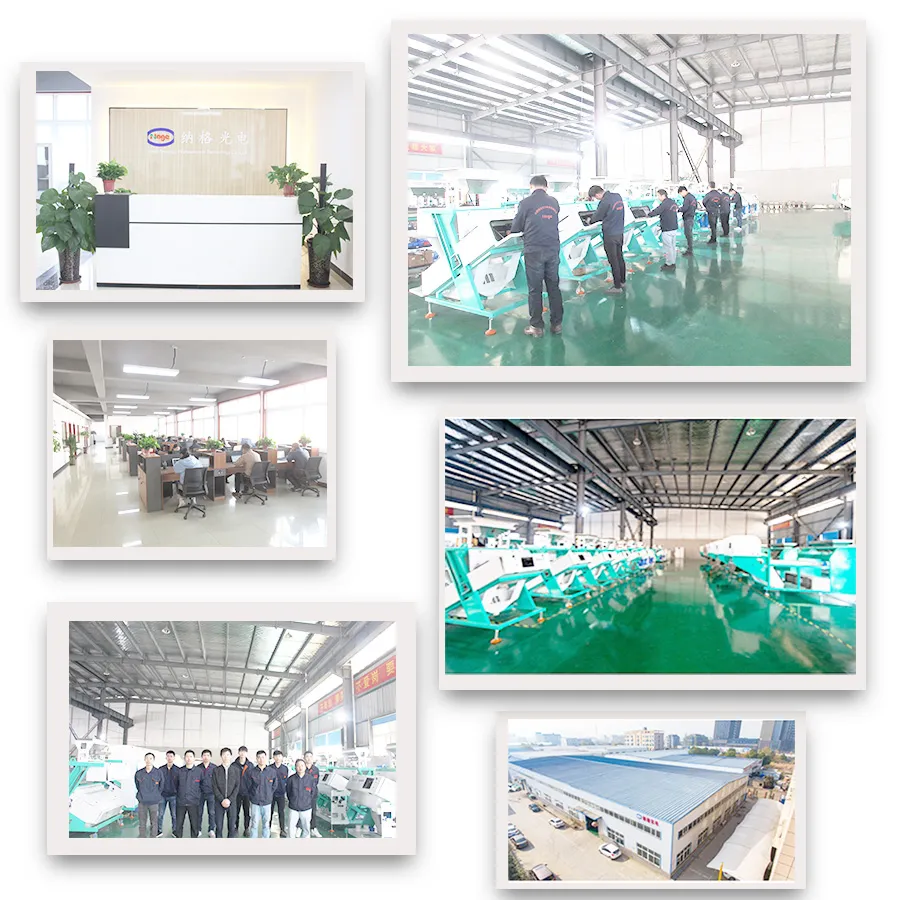 CCD White Rice Color Sorter Machine Rice Sorting Rice Selector