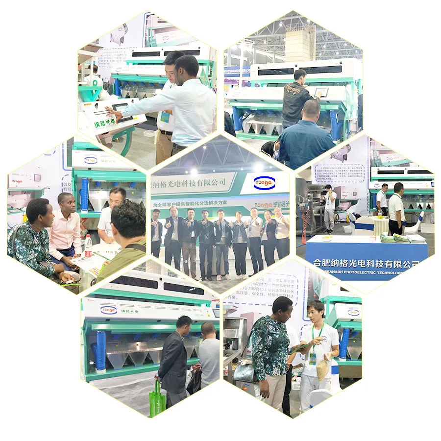 CCD White Rice Color Sorter Machine Rice Sorting Rice Selector