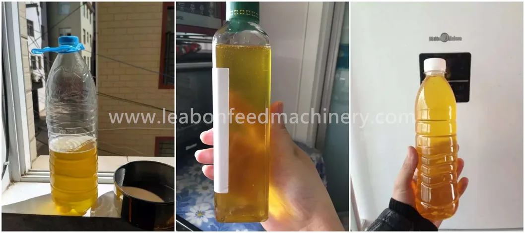 CE Approved Automatic Peanut Sesame Sunflower Coconut Oil Press Machine