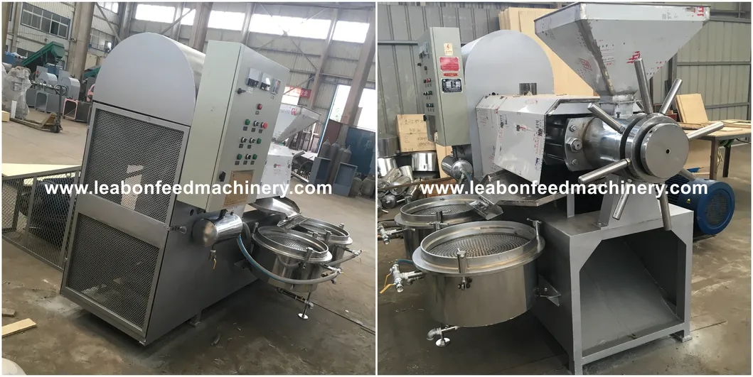 CE Approved Automatic Peanut Sesame Sunflower Coconut Oil Press Machine