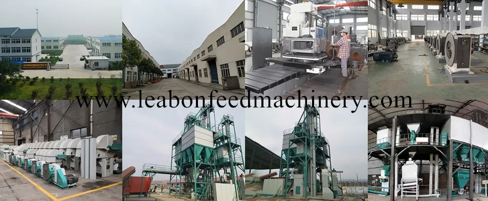 CE Approved Automatic Peanut Sesame Sunflower Coconut Oil Press Machine