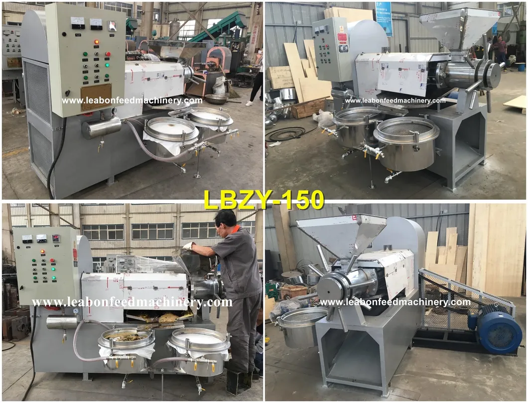CE Approved Automatic Peanut Sesame Sunflower Coconut Oil Press Machine