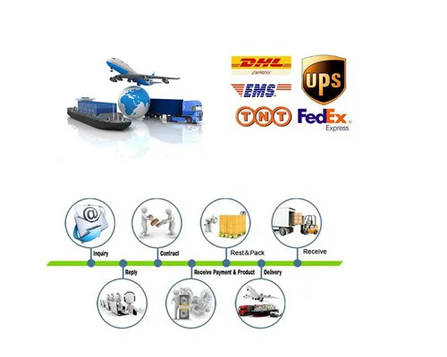 Ce Approved High End Diagnosis Trolley 4D Color Doppler Ultrasound Machine (YJ-U900T)