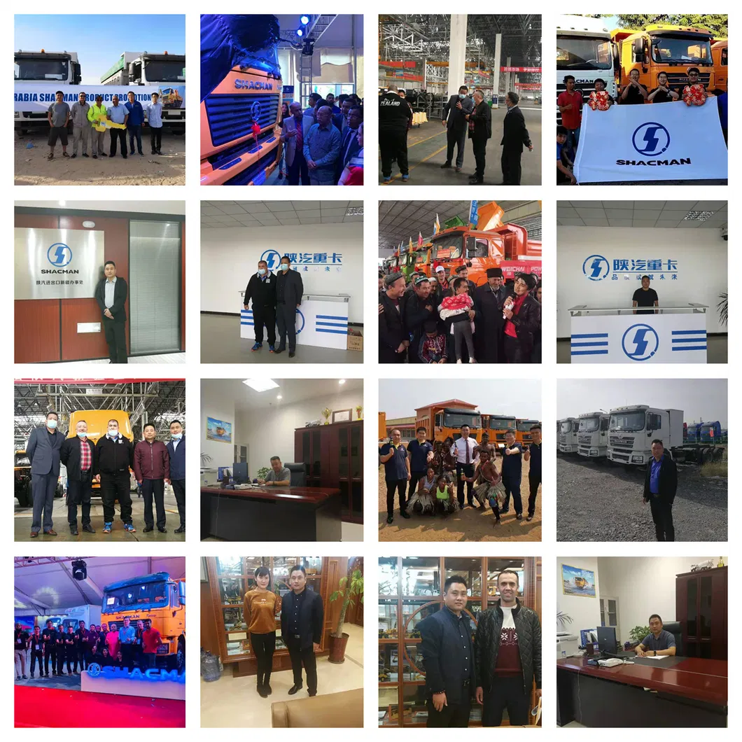 China Dongfeng Shacman Foton HOWO Sinotruk 10/12 Tyres/Wheels Special Heavy Duty Used/New Tipper Dumper Rear Dumping Sand Cargo Tipping Lorry Mining Dump Truck