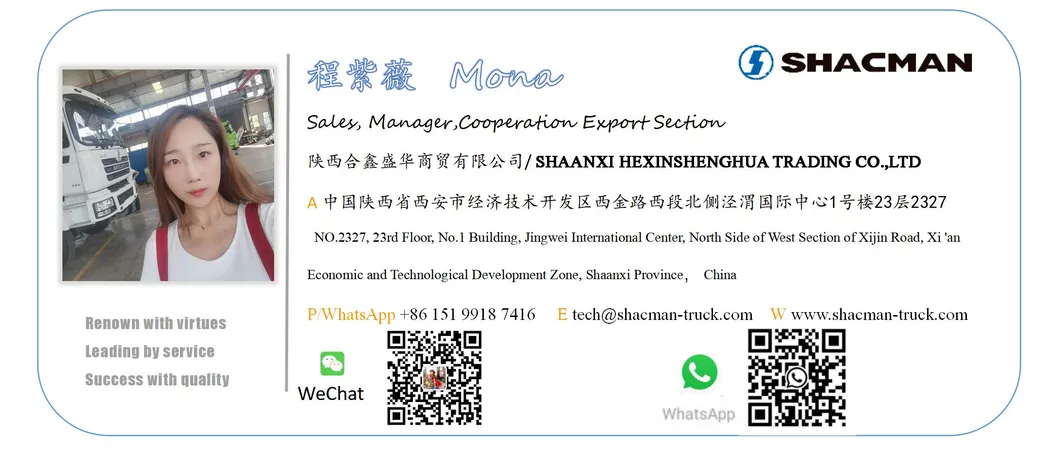 China Dongfeng Shacman Foton HOWO Sinotruk 10/12 Tyres/Wheels Special Heavy Duty Used/New Tipper Dumper Rear Dumping Sand Cargo Tipping Lorry Mining Dump Truck