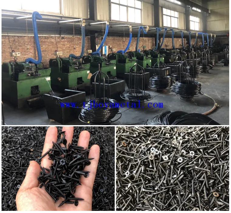 China Screw Manufacturer Collated Black Phosphated Galvanized Drywall Screw/Drywall Screw Tornillos