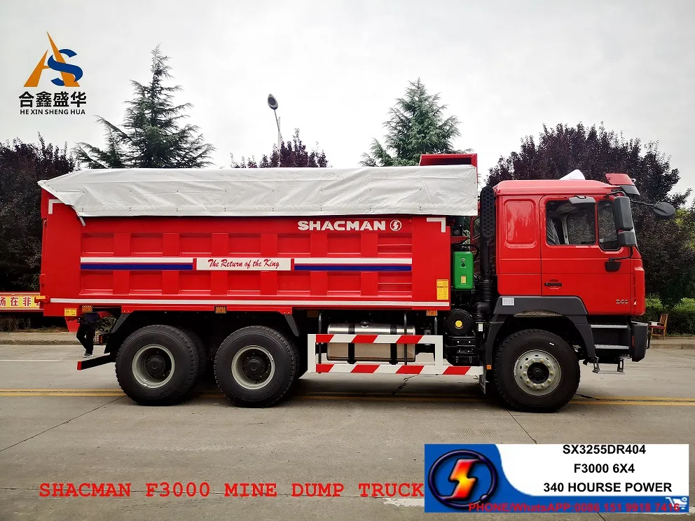 China Shacman 8/10/12 Wheels 4X2 6*4 8*4 Heavy Duty New Tipper Dumper Rear Dumping Tipping Dump Truck with Lower Price