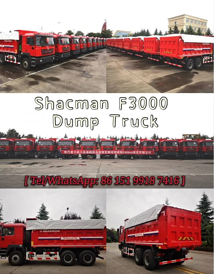 China Shacman 8/10/12 Wheels 4X2 6*4 8*4 Heavy Duty New Tipper Dumper Rear Dumping Tipping Dump Truck with Lower Price