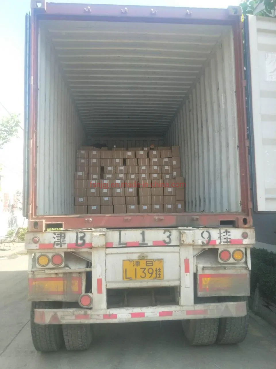 Concrete Fish Scale Shield Anchor with Grade 4.8