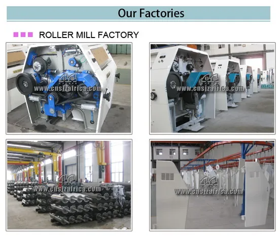 Corn Completed Set Flour Equipment
