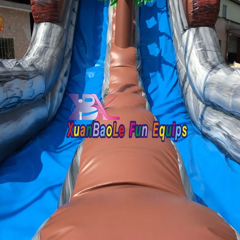 Custom Wild Rapids Inflatable Double Lanes Wet/Dry Water Slide