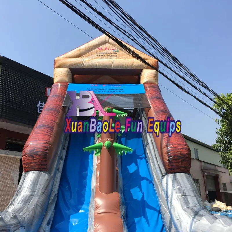 Custom Wild Rapids Inflatable Double Lanes Wet/Dry Water Slide