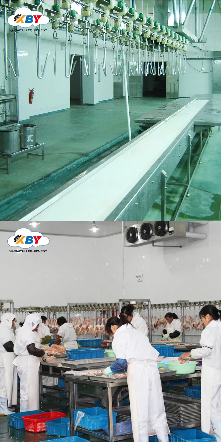 Customized Plucker for Poultry (chicken/goose/Turkey) in Slaughterhouse Plant
