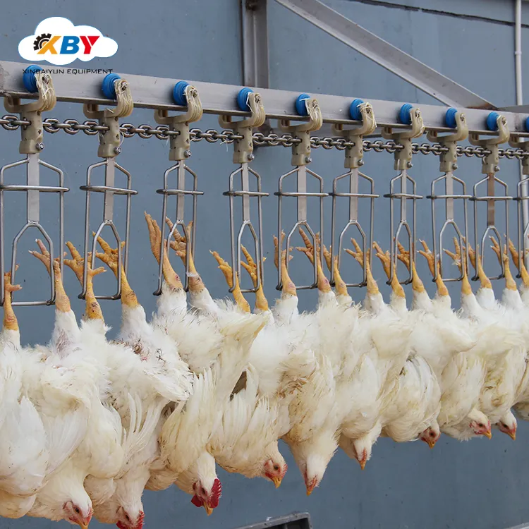 Customized Plucker for Poultry (chicken/goose/Turkey) in Slaughterhouse Plant