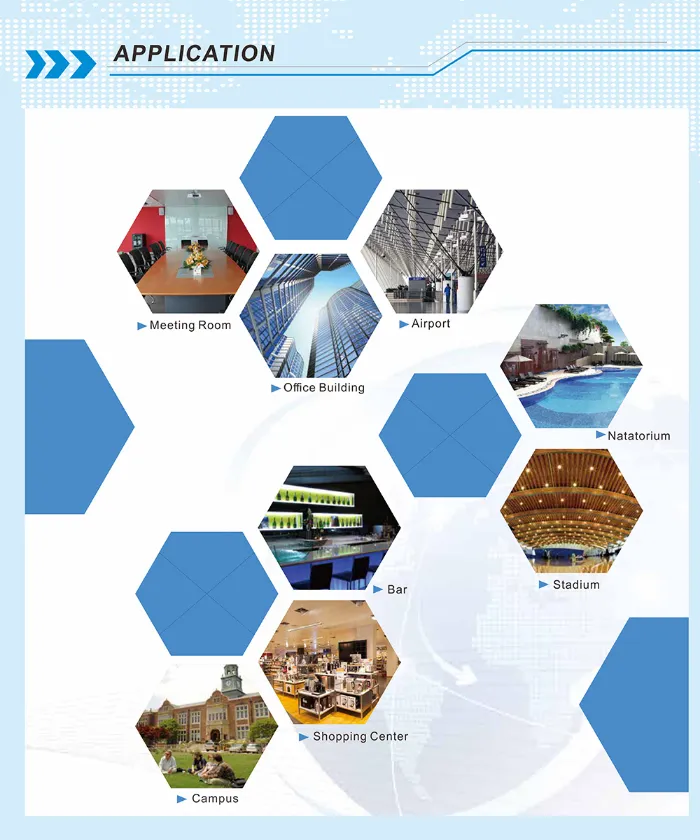 Dante Audio Class D Mixer Amplifier with Audio Sources, Dante and DSP