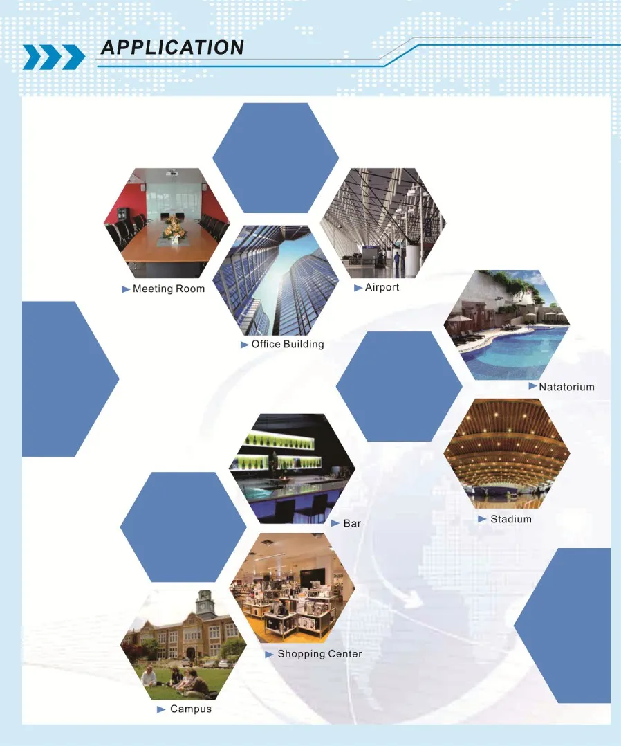 Dante Network and DSP 1000W Professional Class-D Mixer Power Amplifier with Control Software