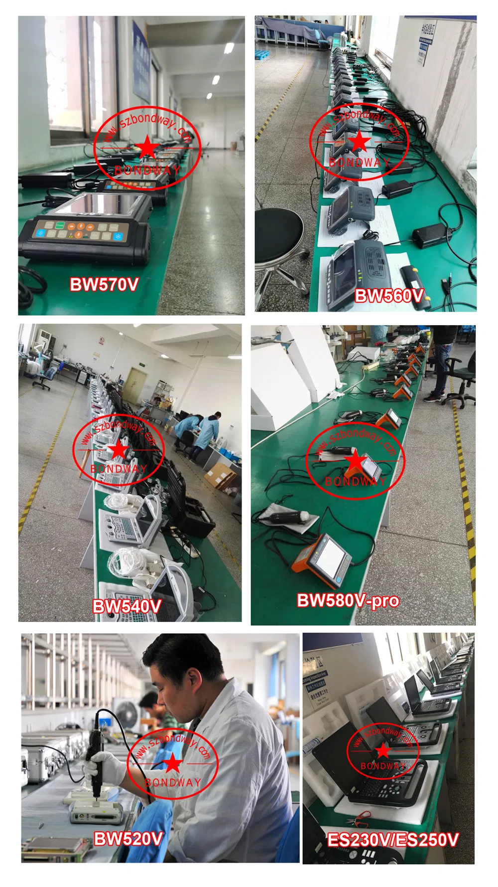 Digital Veterinary Ultrasound Color Doppler with Rechargeable Battery, Equine, Bovine, Canine, Feline, Canine, Ovine, etc